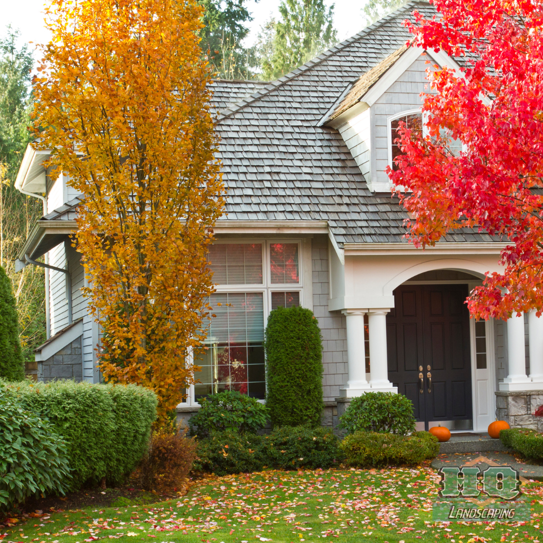 front of house with fall colored trees and evergreens